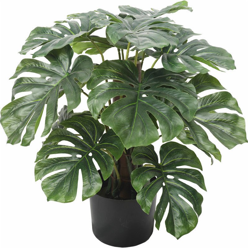 Artificial Monstera 60CM Indoor 19LVS Indoor Plants| Roots Furniture