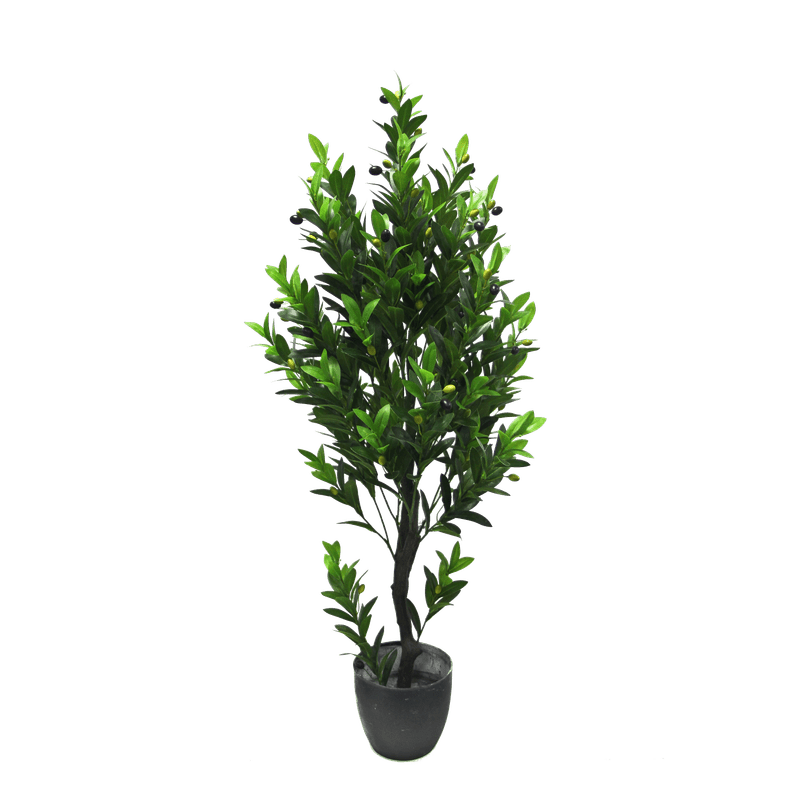 Artificial olive tree Plants| Roots Furniture