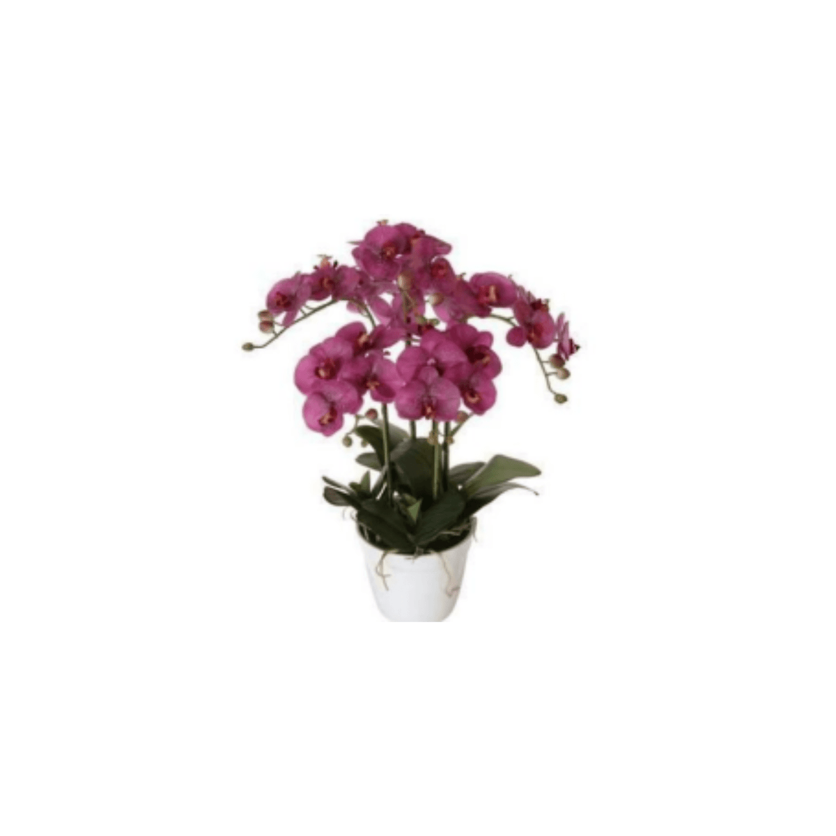 Artificial Potted Orchids Plants| Roots Furniture