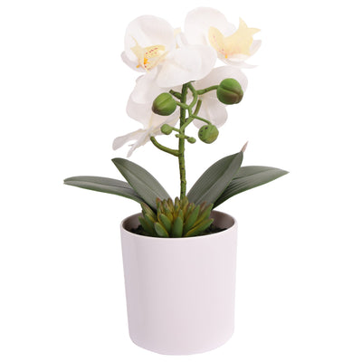 Artificial Potted Orchids 21CM White - Al Rugaib Furniture