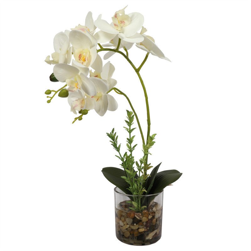 Artificial Potted Orchids 47CM Indoor White Flower with Grass Pot Plants| Roots Furniture