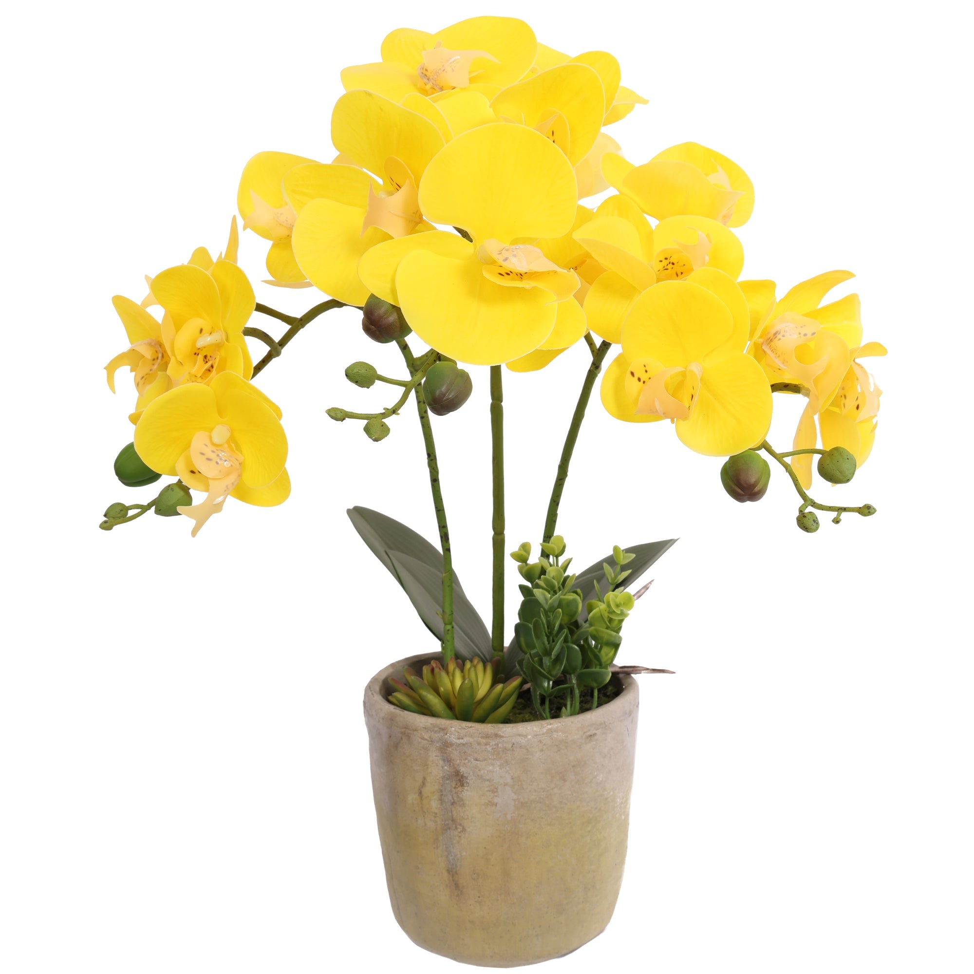 Artificial Potted Orchids 54CM Yellow Plants| Roots Furniture