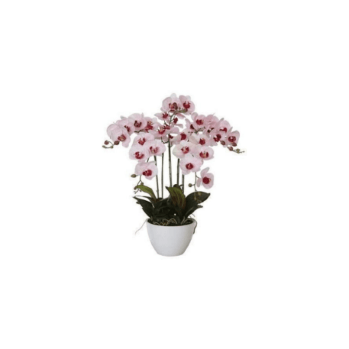 Artificial Potted Orchids Plants| Roots Furniture