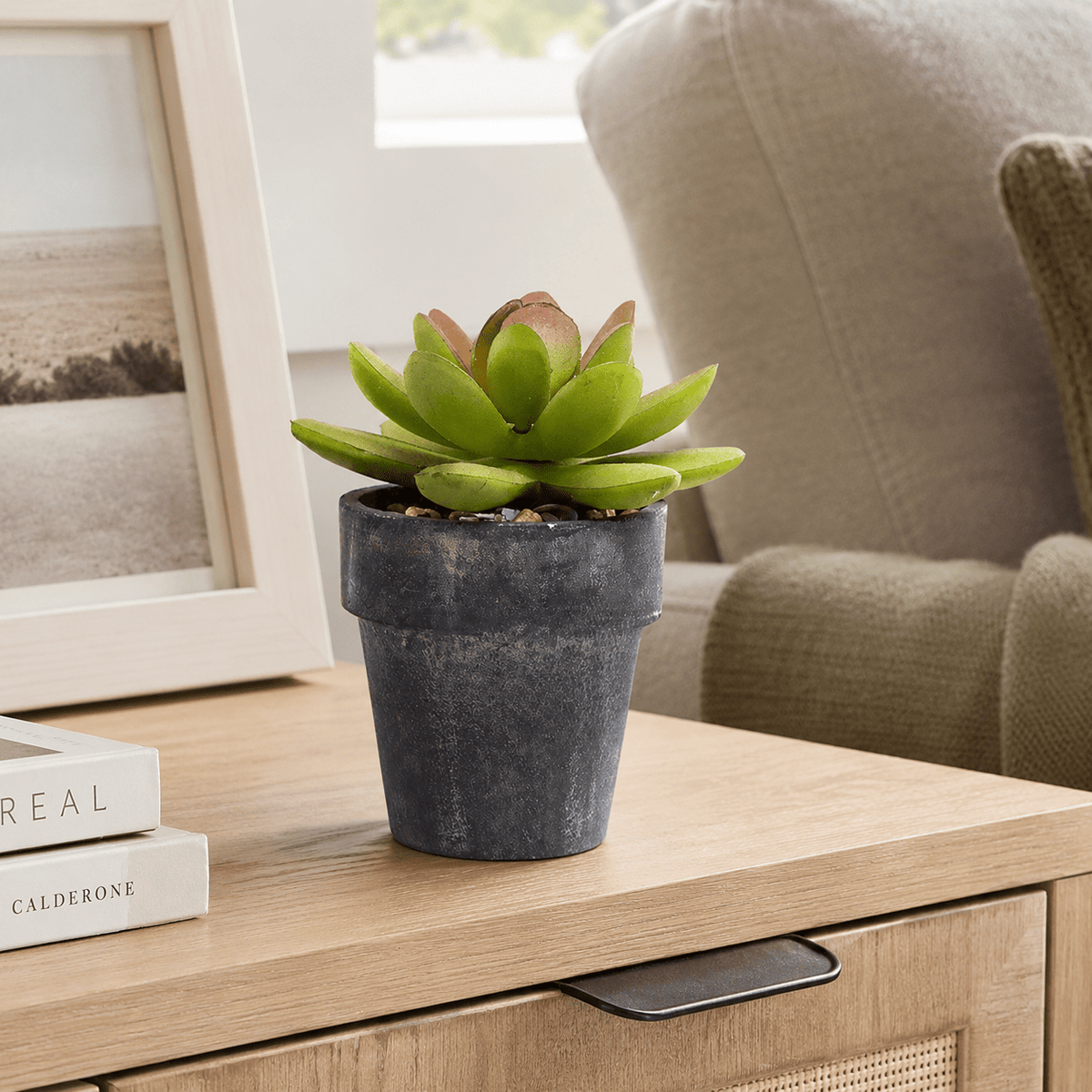 Artificial Potted Succulent Plants 12.5CM Indoor Plants| Roots Furniture