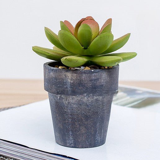 Artificial Potted Succulent Plants 12.5CM Indoor Plants| Roots Furniture
