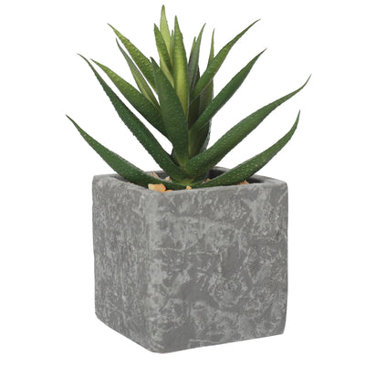 Artificial Potted Succulent Plants 12CM Indoor - Al Rugaib Furniture