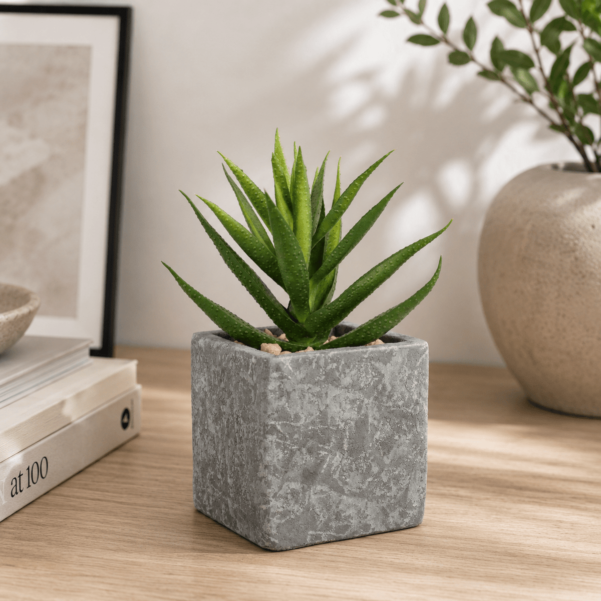 Artificial Potted Succulent Plants 12CM Indoor Plants| Roots Furniture