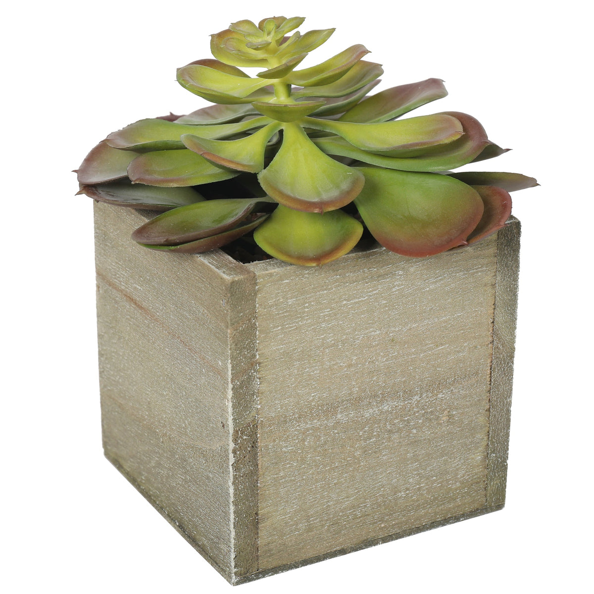 Artificial Potted Succulent Plants 16CM Indoor Plants| Roots Furniture