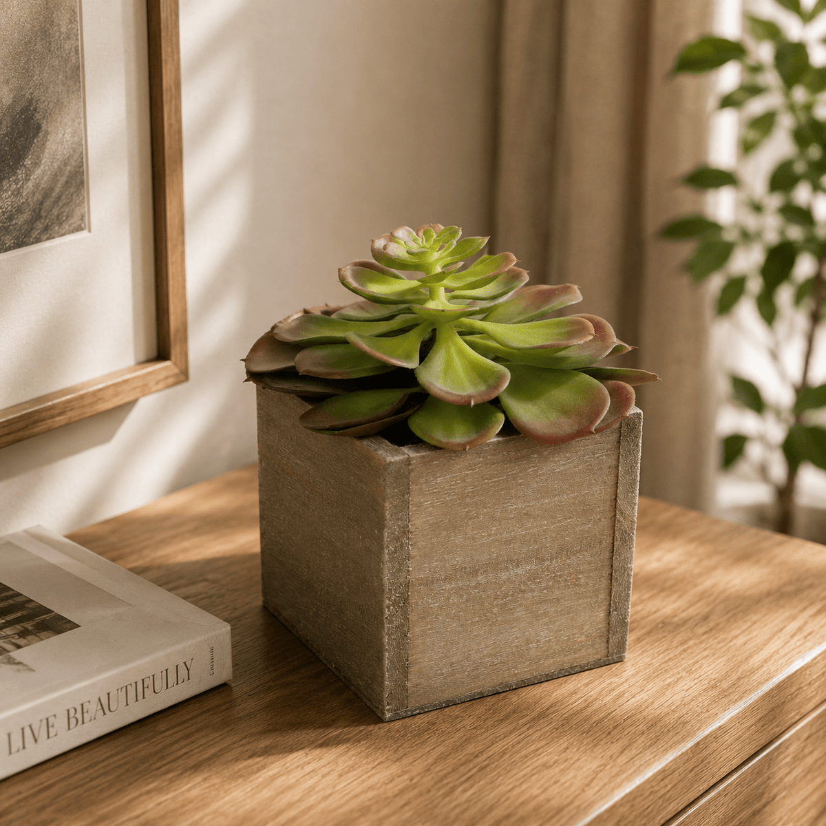 Artificial Potted Succulent Plants 16CM Indoor Plants| Roots Furniture