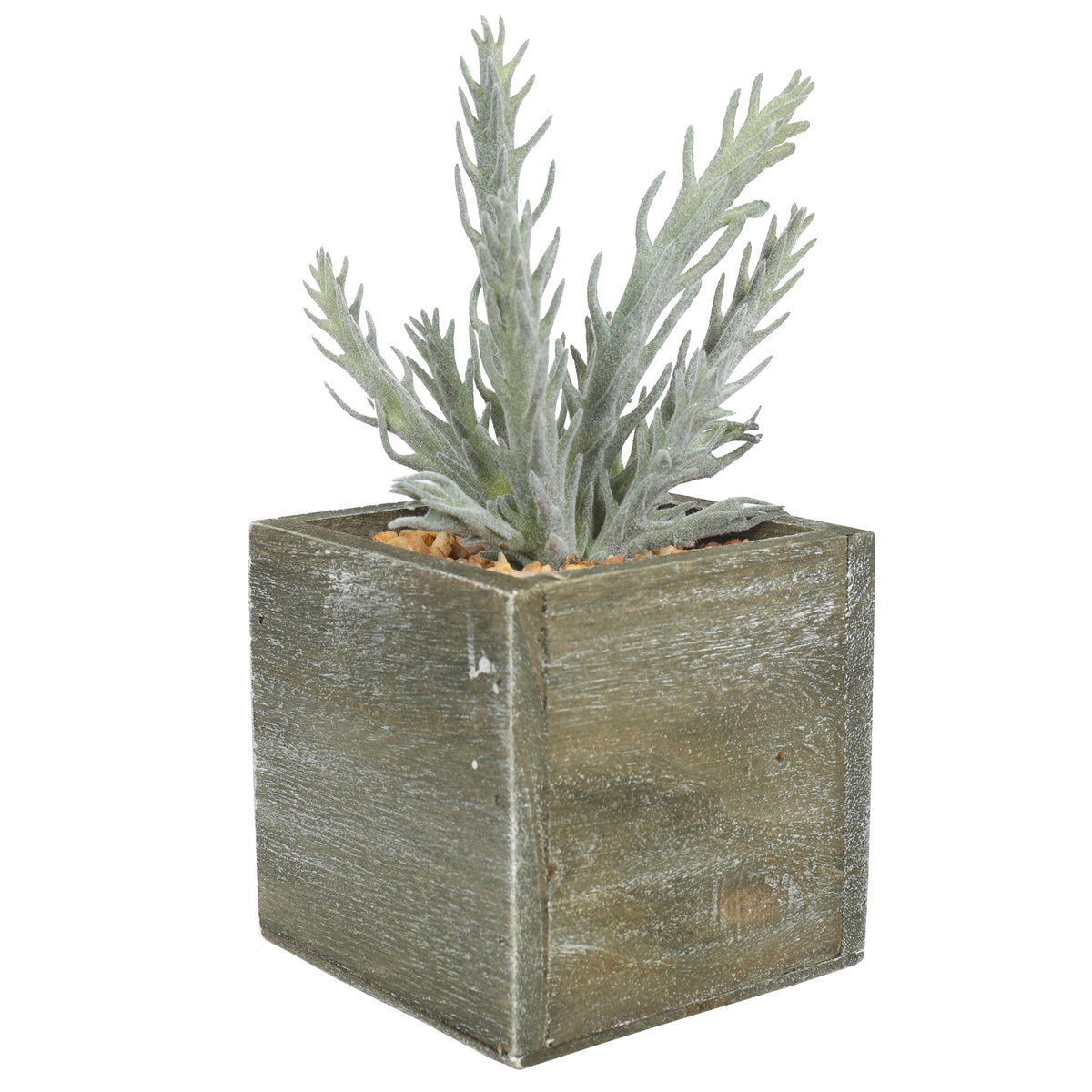 Artificial Potted Succulent Plants 21CM Indoor Plants| Roots Furniture