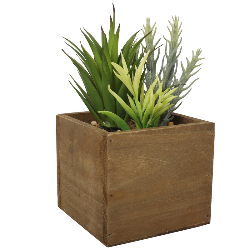 Artificial Potted Succulent Plants 21CM Indoor - Al Rugaib Furniture