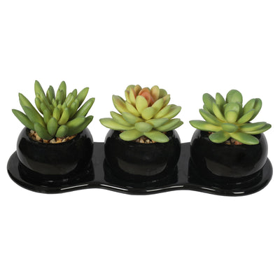 Artificial Potted Succulent Plants 9CM Indoor - Al Rugaib Furniture