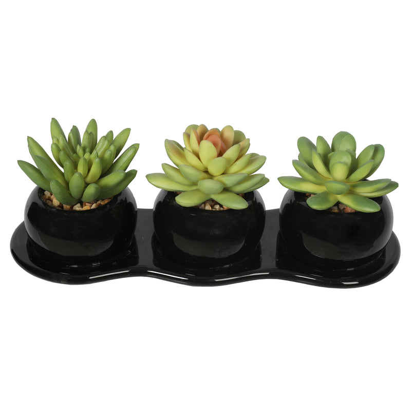 Artificial Potted Succulent Plants 9CM Indoor - Al Rugaib Furniture