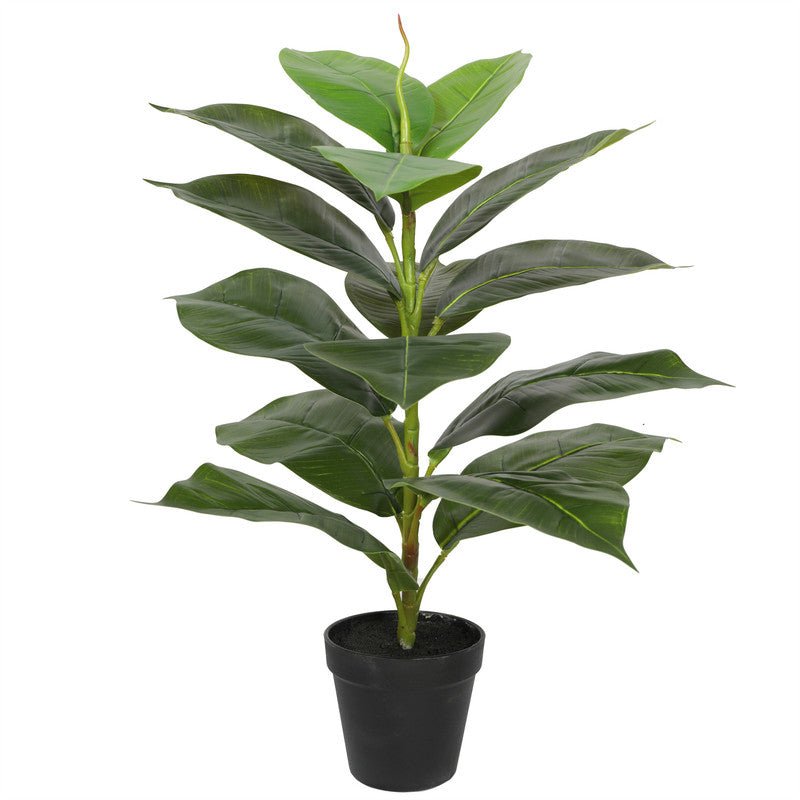 Artificial Rubber Plants 55CM Potted Indoor Plants| Roots Furniture