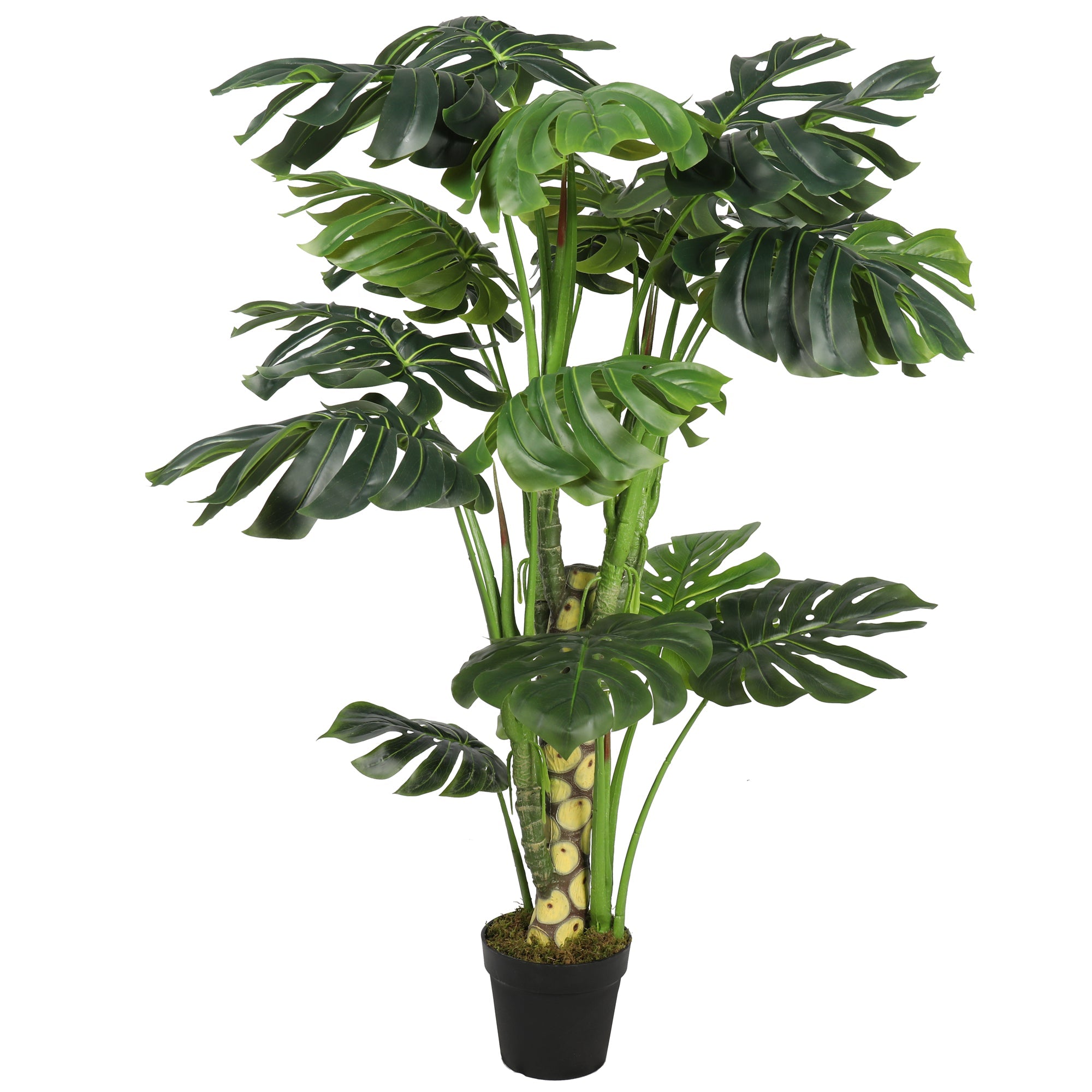 Artificial Split Philo Tree 150CM 7LVS Indoor Plants| Roots Furniture