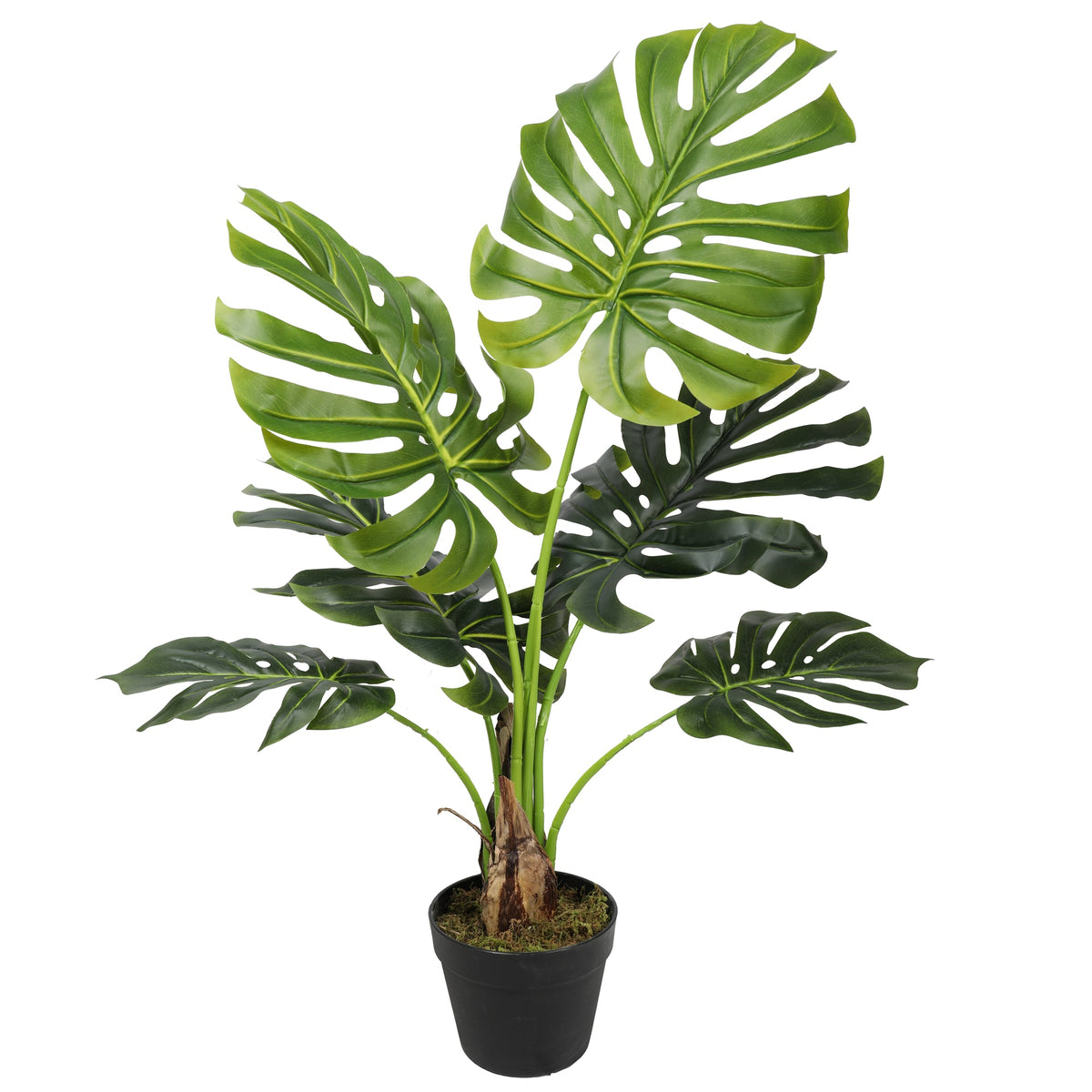 Artificial Split philo Tree 95CM Indoor Plants| Roots Furniture