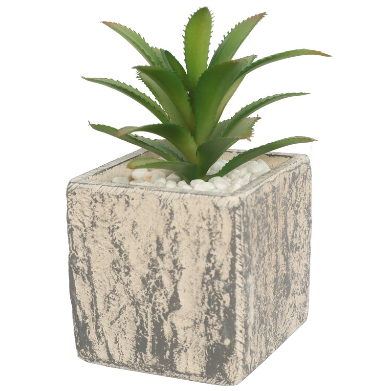 Artificial Succulent Plants in Pots 14CM - Al Rugaib Furniture
