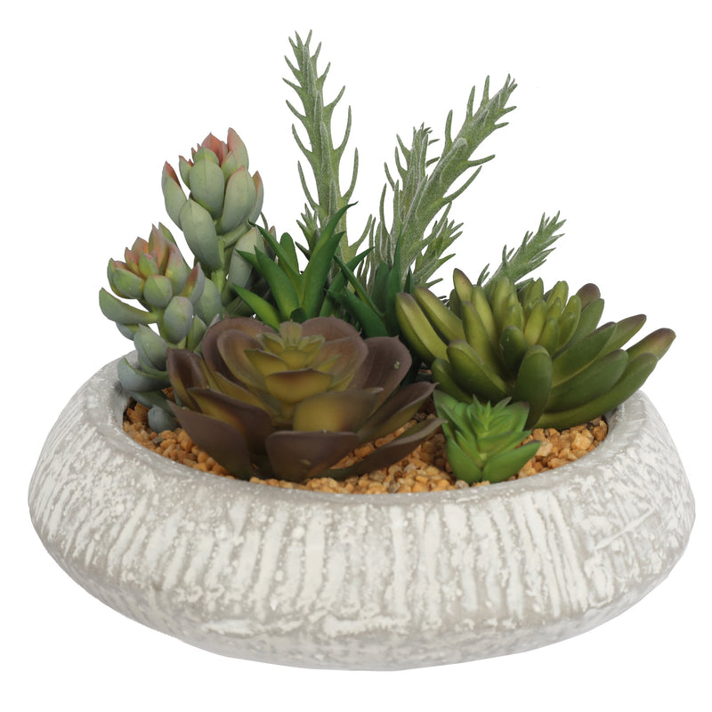 Artificial Succulent Plants In Pots 16.7CM - Al Rugaib Furniture
