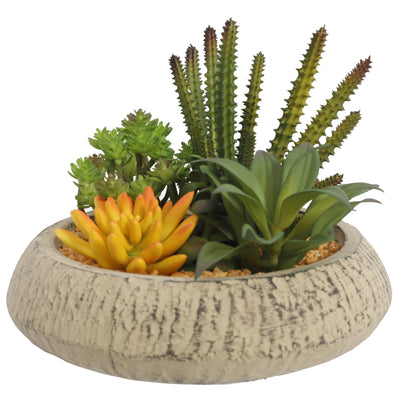 Artificial Succulent Plants In Pots 18CM - Al Rugaib Furniture