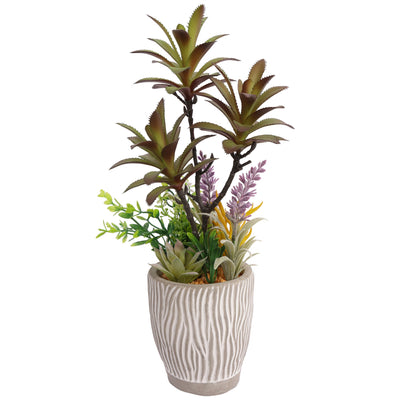 Artificial Succulent Plants In Pots 33CM - Al Rugaib Furniture