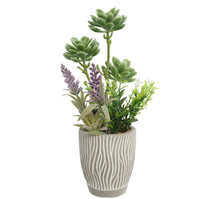 Artificial Succulent Plants In Pots 33CM - Al Rugaib Furniture