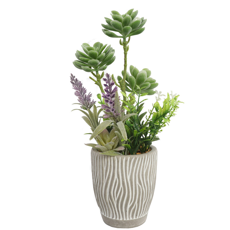 Artificial Succulent Plants In Pots 33CM - Al Rugaib Furniture