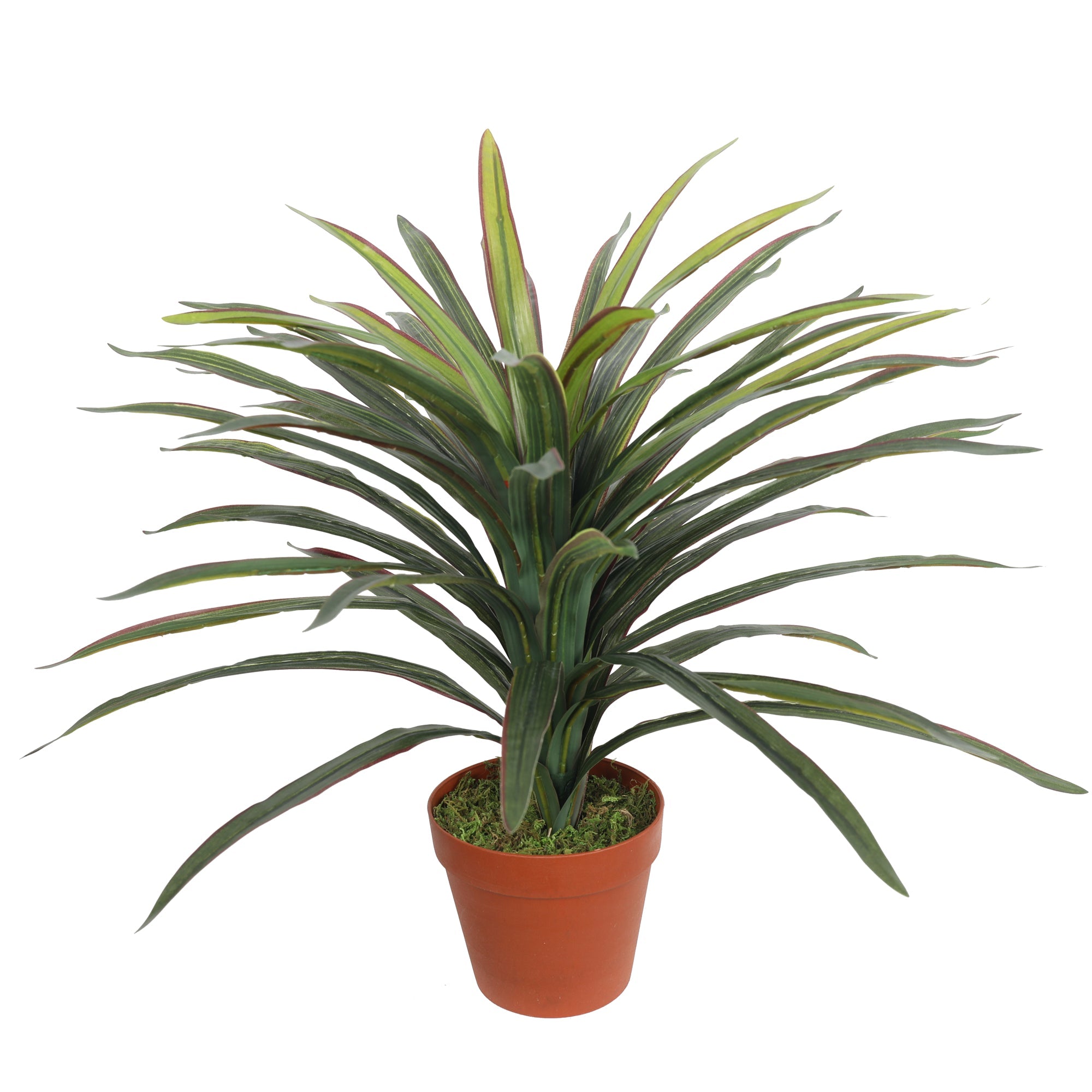 Artificial YUCCAS 58CM 60 Leaves Plants| Roots Furniture