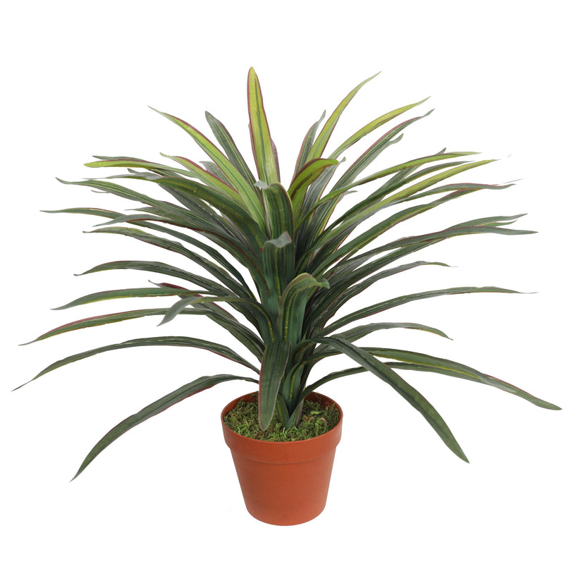 Artificial YUCCAS 58CM 60 Leaves - Al Rugaib Furniture