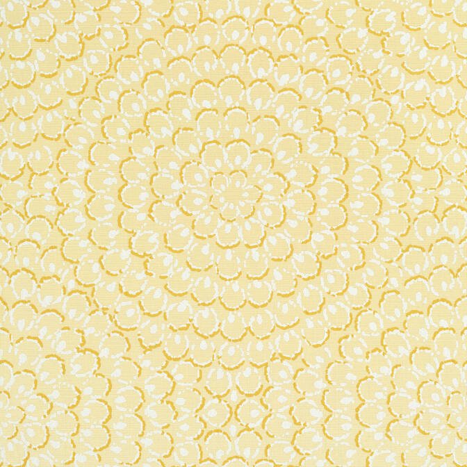 ASTER,String Wallpaper Wallpaper| Thibaut Design