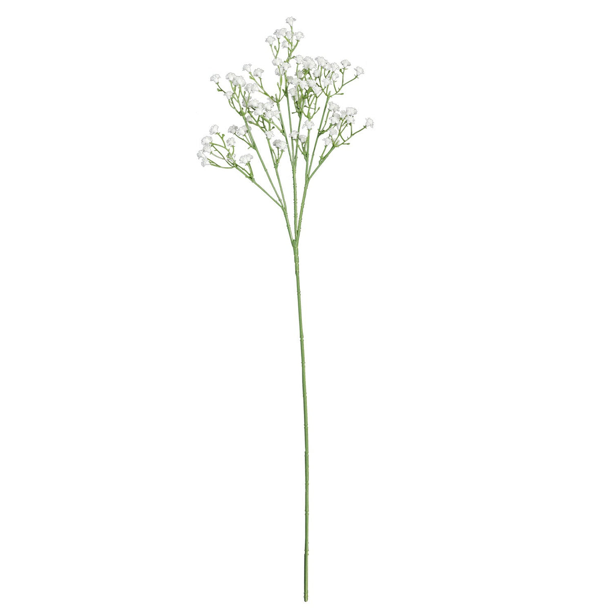 Baby's Breath White Plants| Roots Furniture