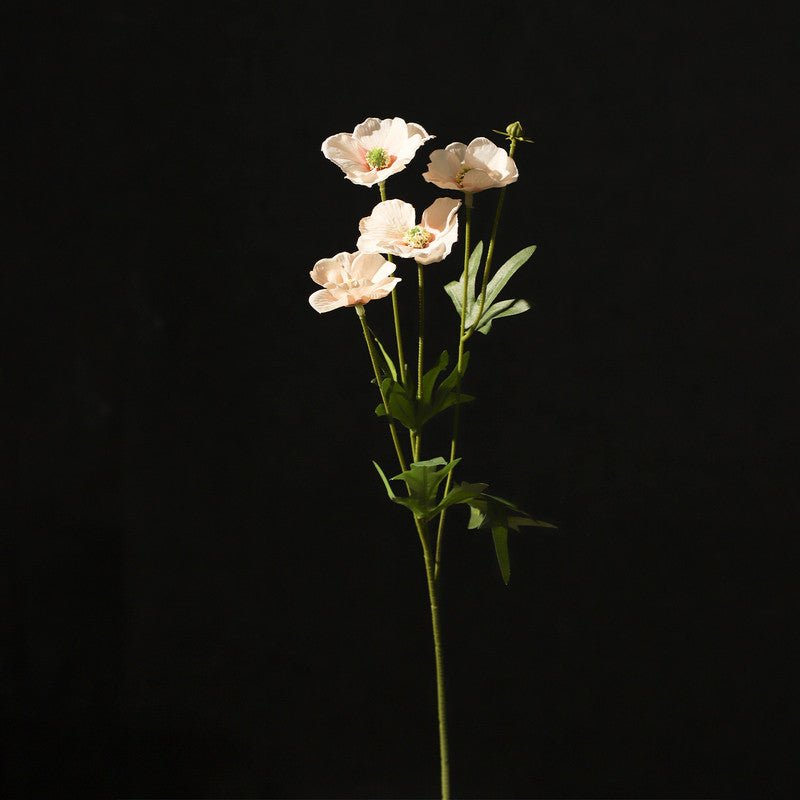 Begonia Flowers - Al Rugaib Furniture