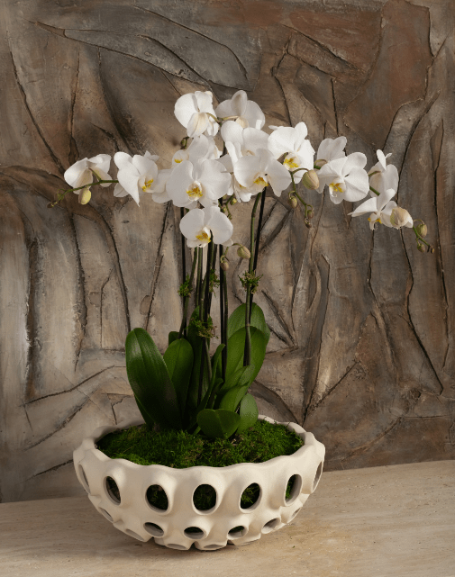 Bowls Table Decors| Sagebrook Home