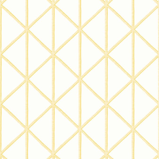 BOX KITE,Wallpaper Wallpaper| Thibaut Design
