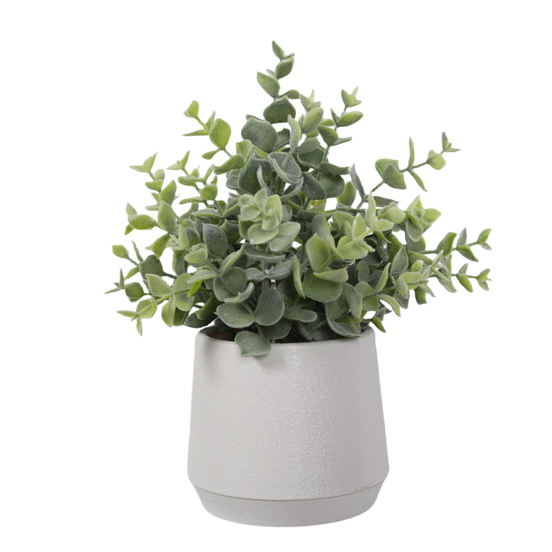 Boxwood 27CM - Al Rugaib Furniture