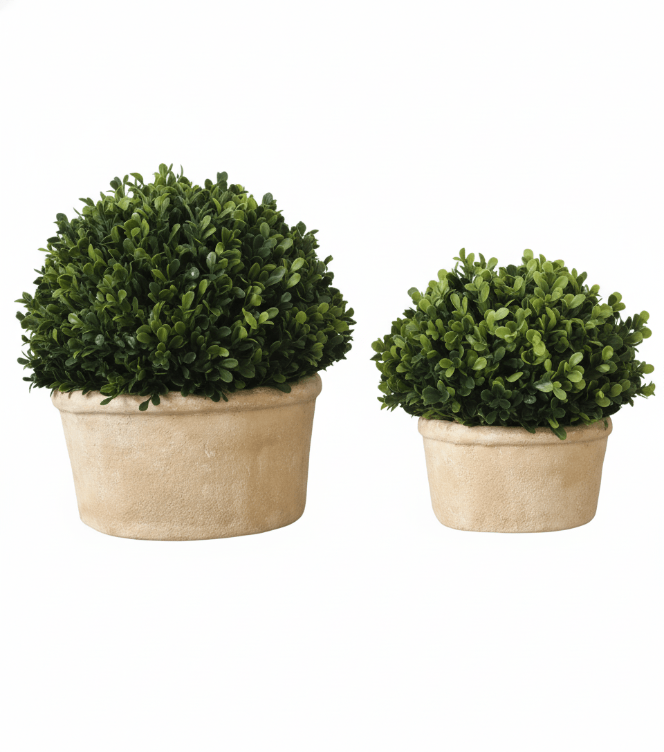 BOXWOOD NATURAL STYLE OVAL SHAPEL S/2 Plants| Crestview