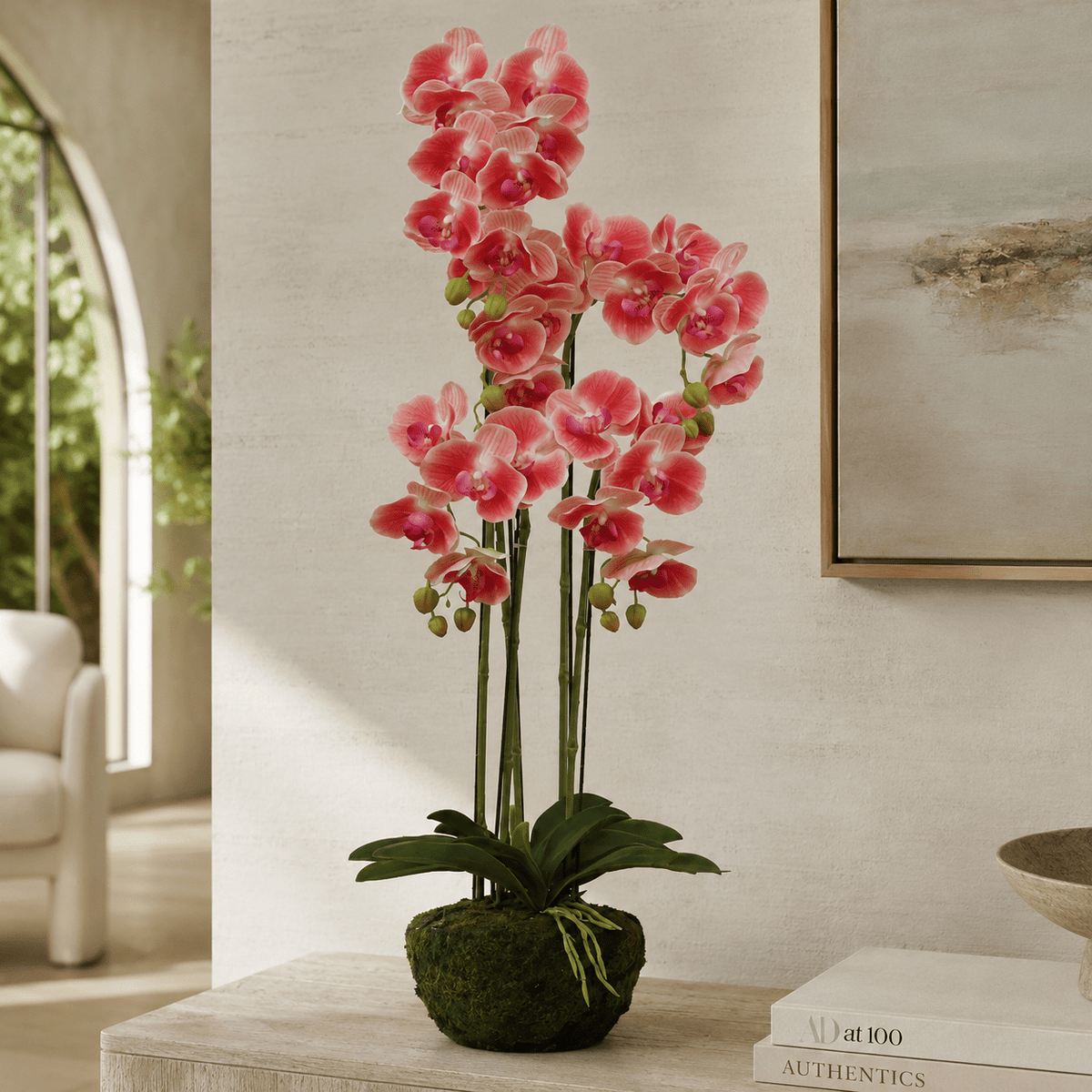 BUTTERFLY ORCHID Plants| Roots Furniture