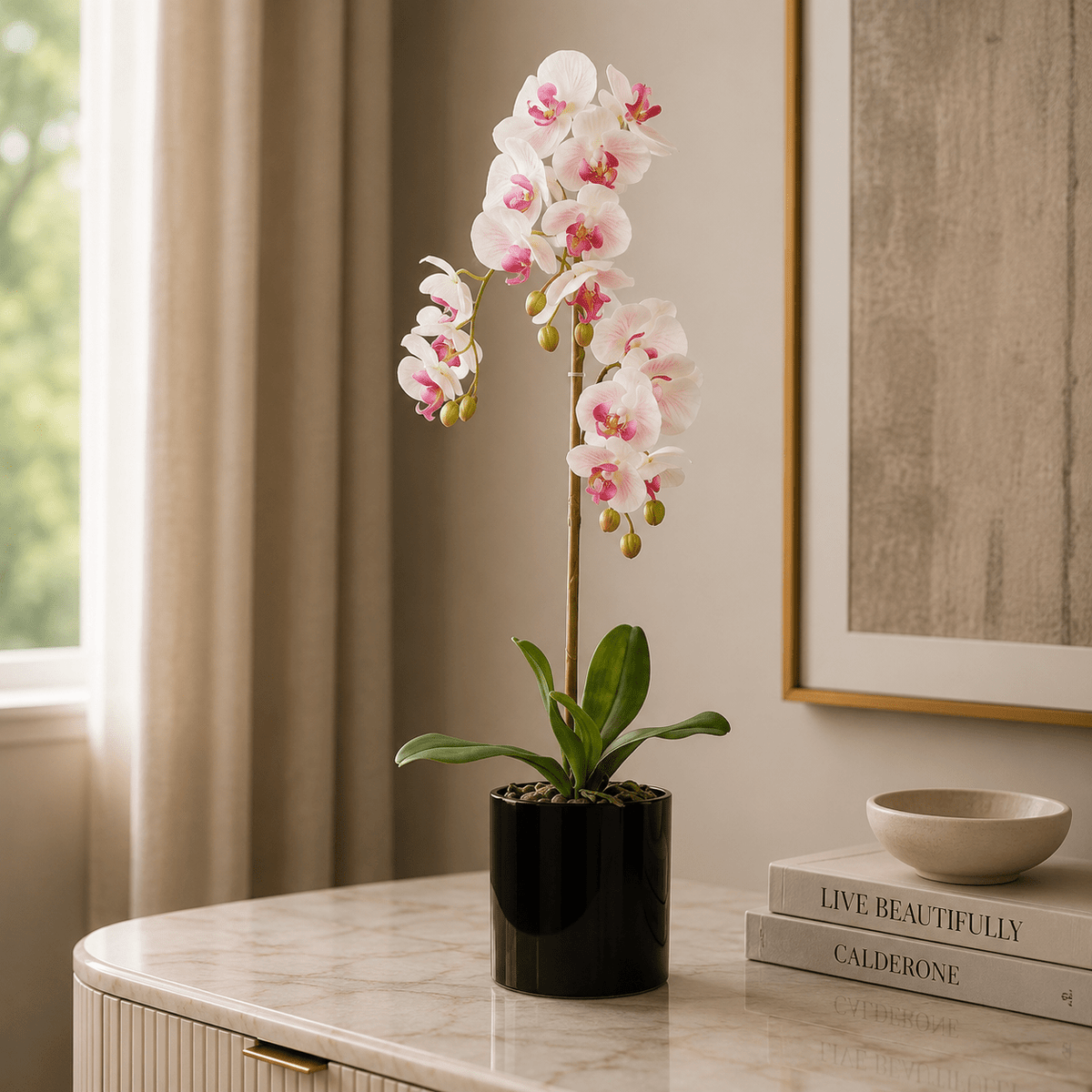 BUTTERFLY ORCHID Plants| Roots Furniture