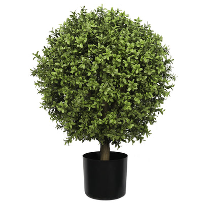 Buxus Ball Tree with Short Trunk 75CM - Al Rugaib Furniture