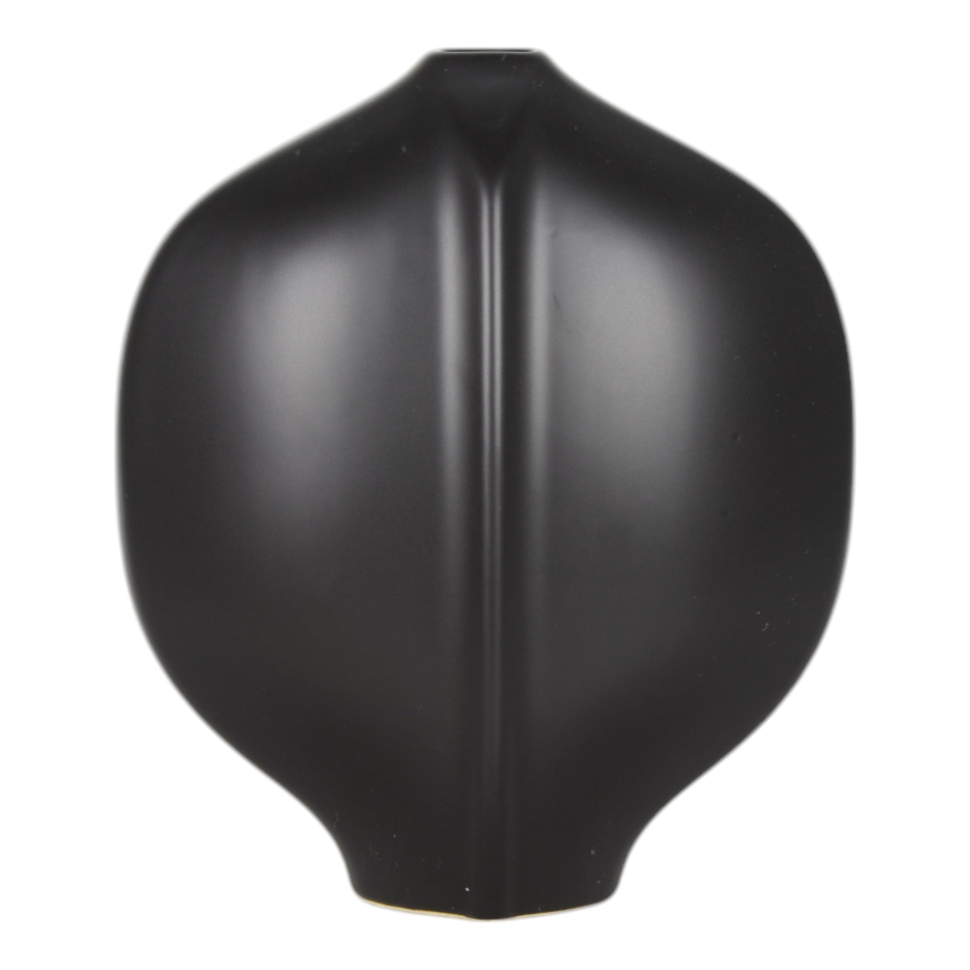 مزهرية بولتن باللون الأسود Polten Black  Vase