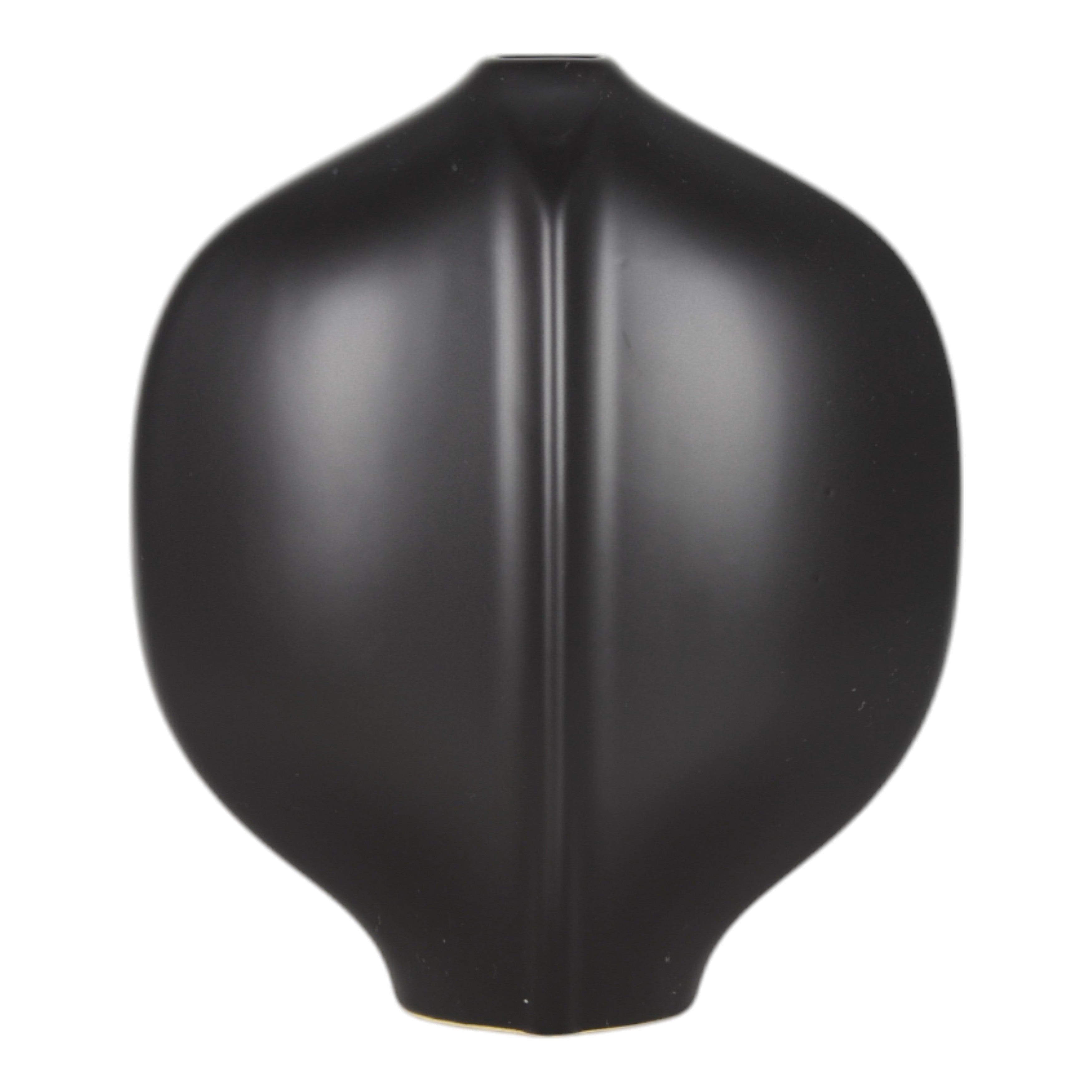 مزهرية بولتن باللون الأسود Polten Black  Vase