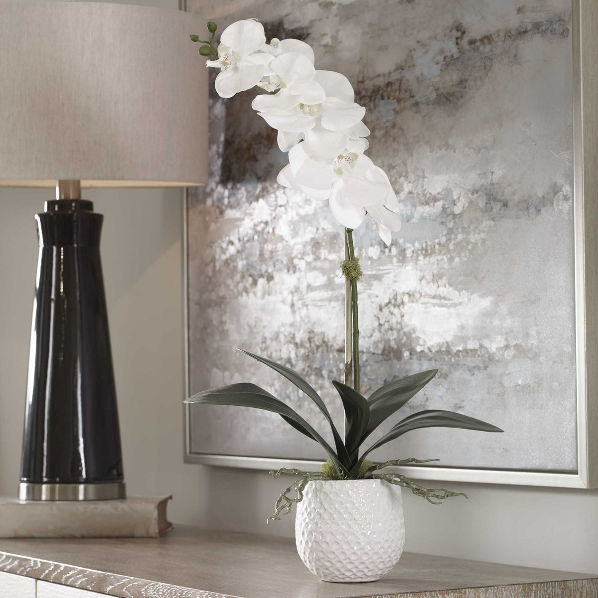 Cami Orchid Plants| Uttermost