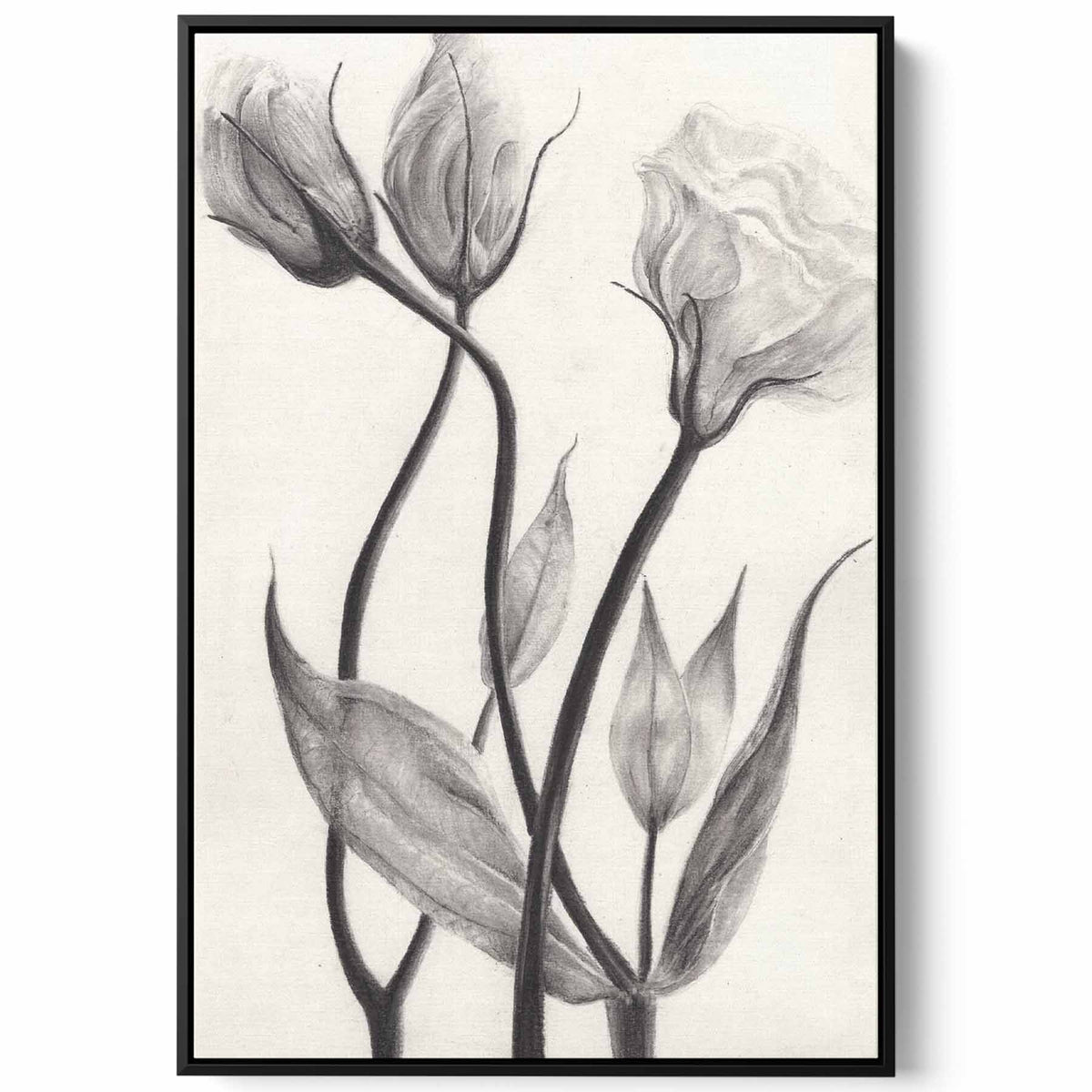 Canvas Wall Art Stretched Over Wooden Frame with Black Floating Frame Paintings & Pictures| LOWHA