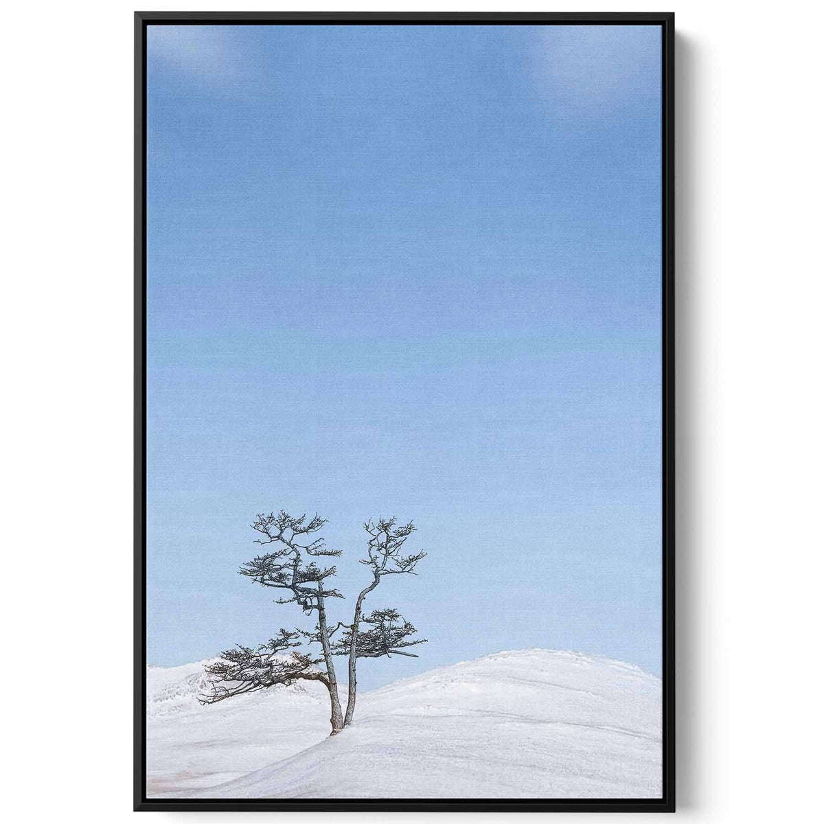 Canvas Wall Art Stretched Over Wooden Frame with Black Floating Frame Paintings & Pictures| LOWHA