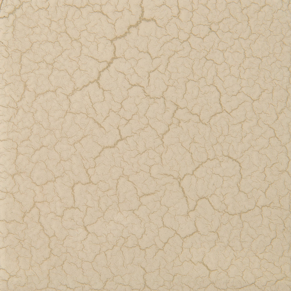 Caracole Classic - Calypso Dressers| Caracole