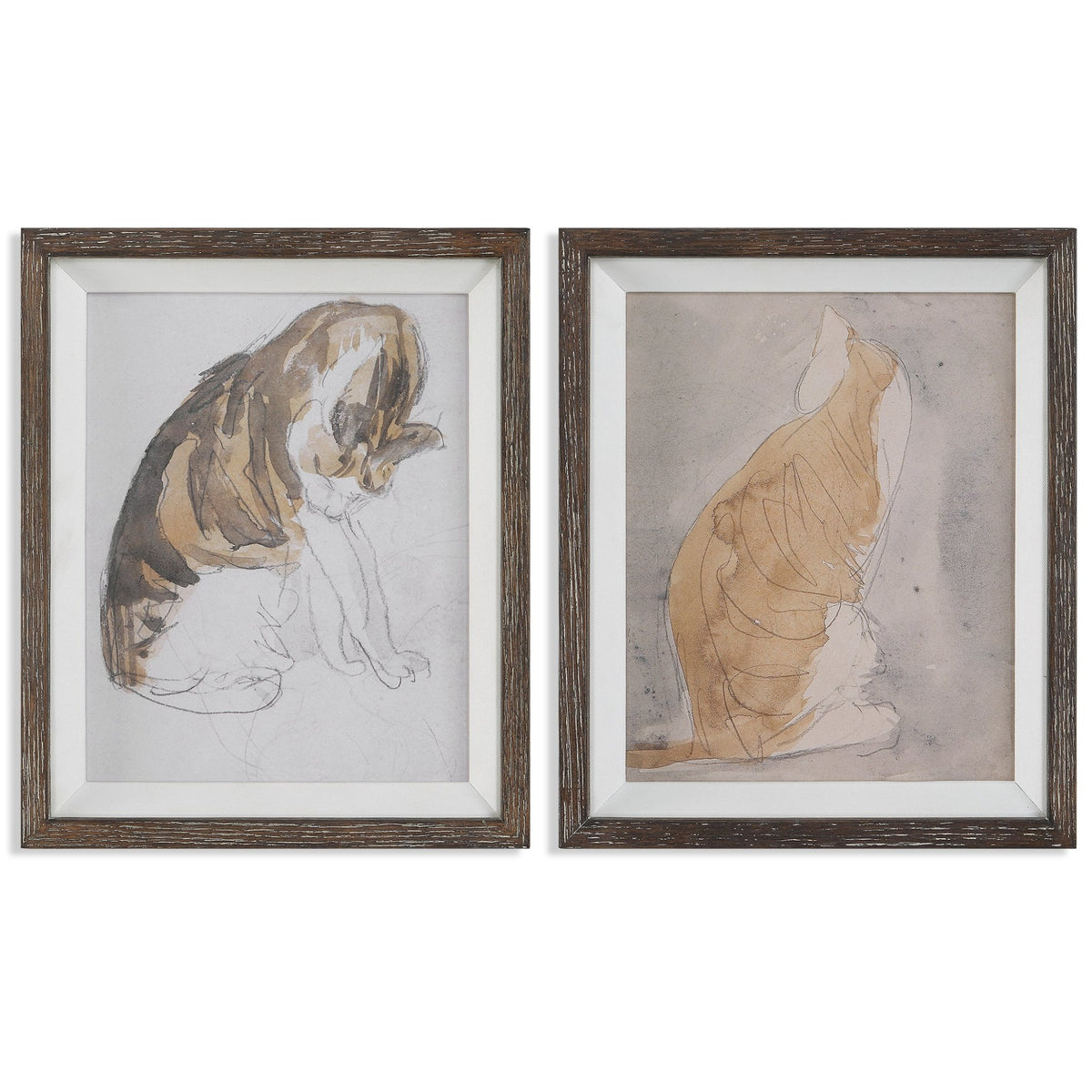 Cat and Study of a Cat Framed Prints, S/2 Table Decors| Uttermost