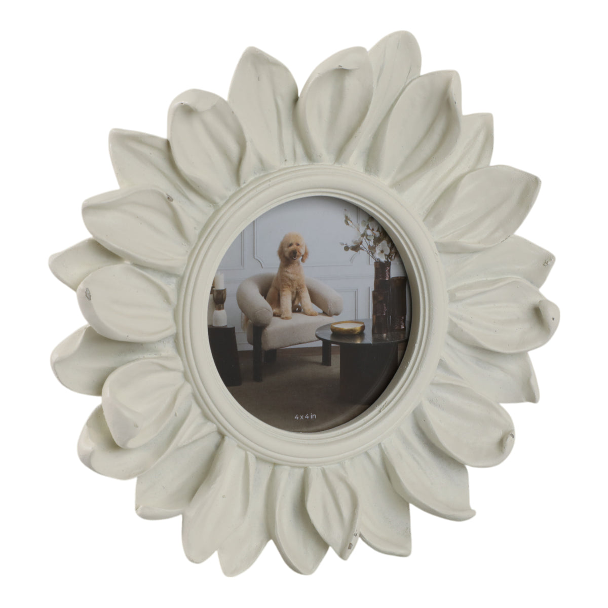 4x4" Sunflower Photo Frame, Ivory