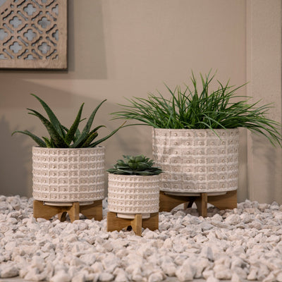 CERAMIC 5" DOTTED PLANTER W/WOOD STAND, IVORY - Al Rugaib Furniture