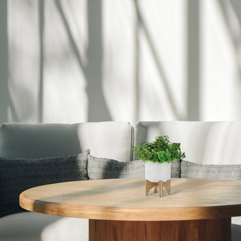 CERAMIC 5" PLANTER ON STAND, SPECKLED WHITE - Al Rugaib Furniture