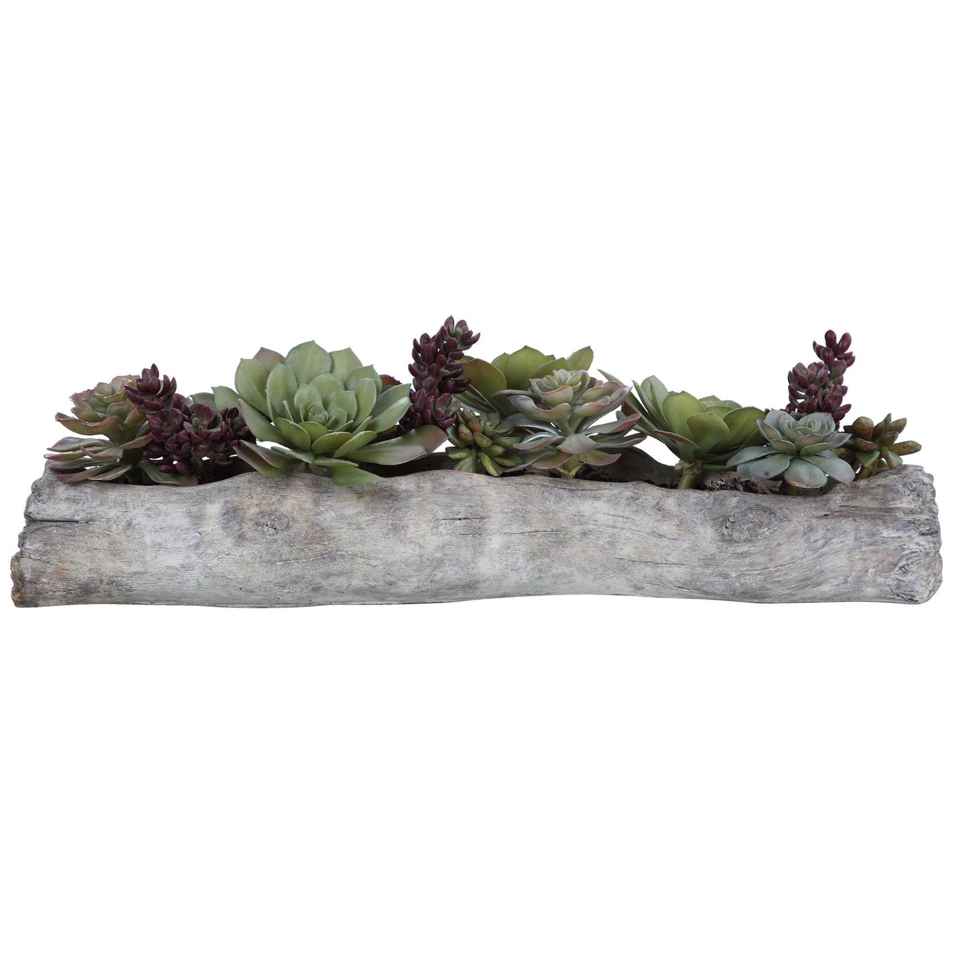 Charita Succulents Table Decors| Uttermost
