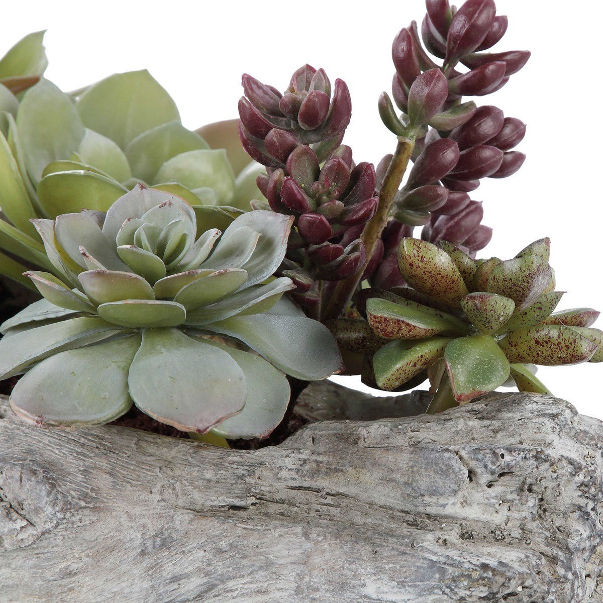 Charita Succulents Table Decors| Uttermost